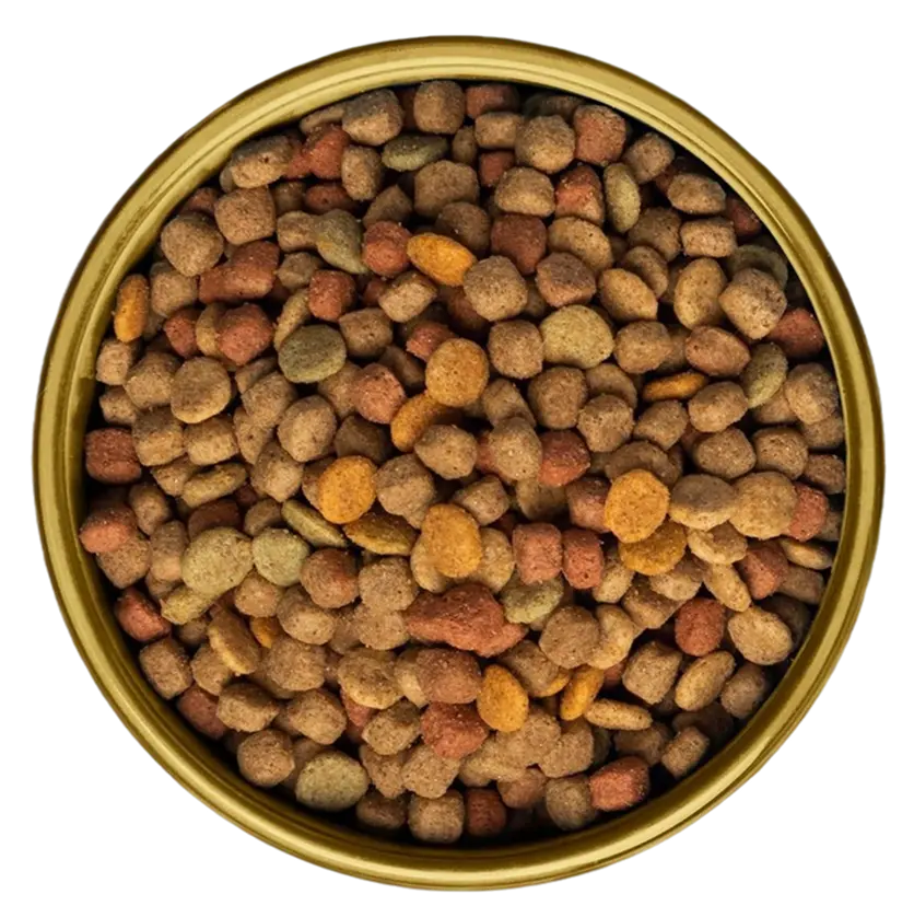 cat food bowl